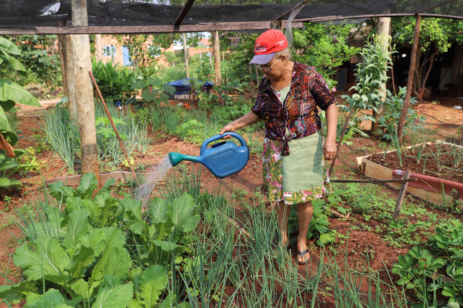 Rosilda é uma das pioneiras do projeto. No local ela cultiva, vende e também consegue ajudar famílias carentes