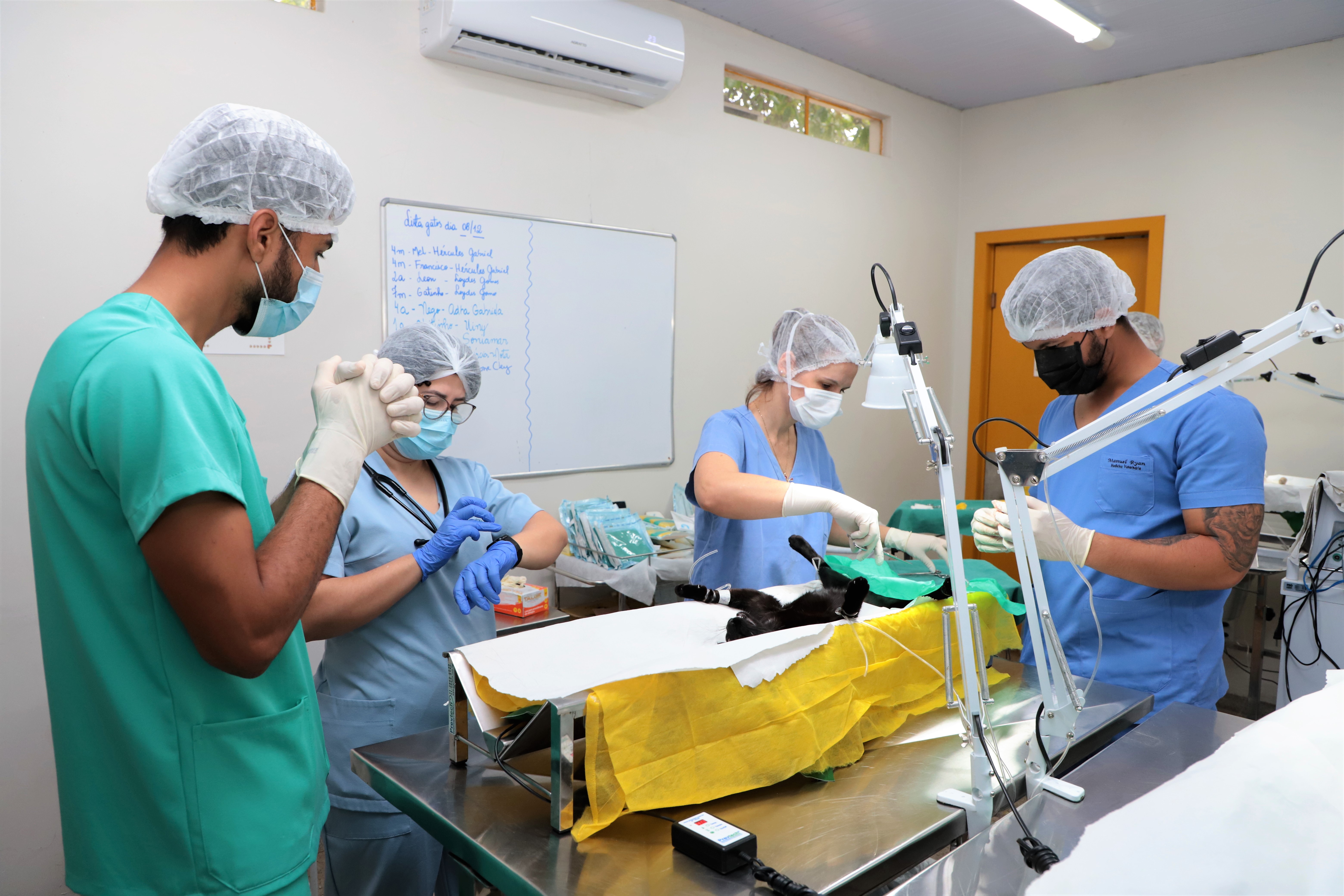 O Centro de Castração Municipal de Araguaína realiza cirurgias em cães e gatos, machos e fêmeas, e também faz atendimentos para a vacinação antirráb