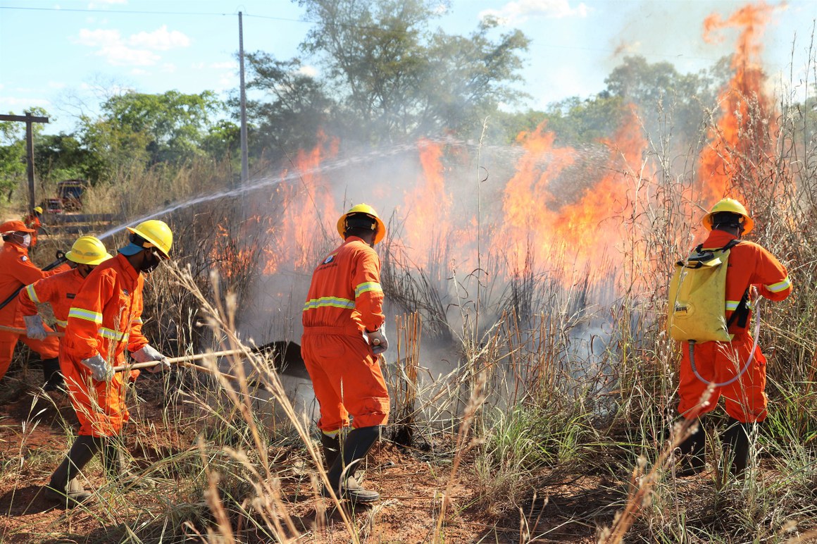 Defesa Civil de Araguaína começa a contratar novos brigadistas para o combate a queimadas