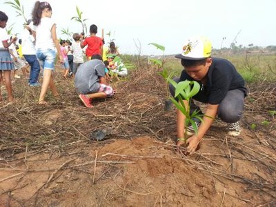 Prefeitura realiza plantio de mais de 200 mudas em Araguaína
