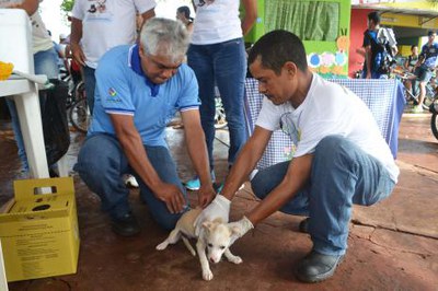 Município de Araguaína começa vacinação antirrábica nos setores