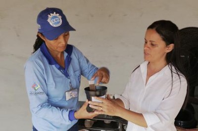 Armadilhas para o Aedes aegypti são instaladas em 106 bairros de Araguaína