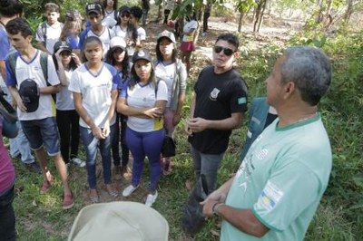 Meio Ambiente e escolas fazem plantio de mudas no Dia da Árvore em Araguaína