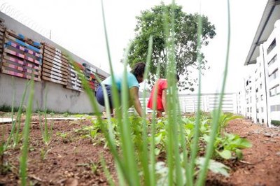 Horta terapêutica auxilia na integração de crianças em casa de acolhimento