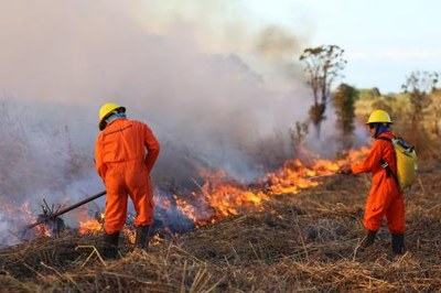 Prefeitura e Corpo de Bombeiros realizam treinamento com brigadistas
