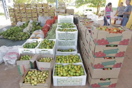 Agricultores familiares são beneficiados com venda para alimentação escolar