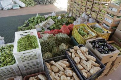 Prefeitura cadastra pequenos produtores para venda de alimentos ao Município