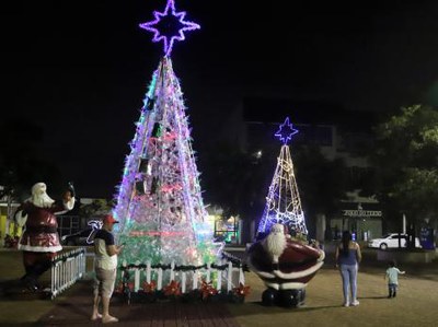 Árvores de 6 metros são atrações de Natal em Araguaína