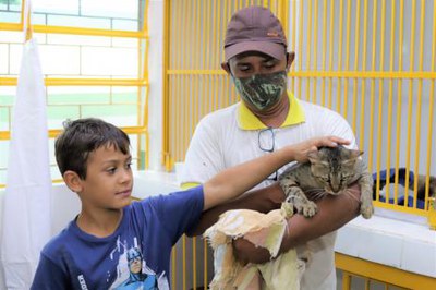 Centro de Castração de Cães e Gatos segue com atendimentos gratuitos em Araguaína