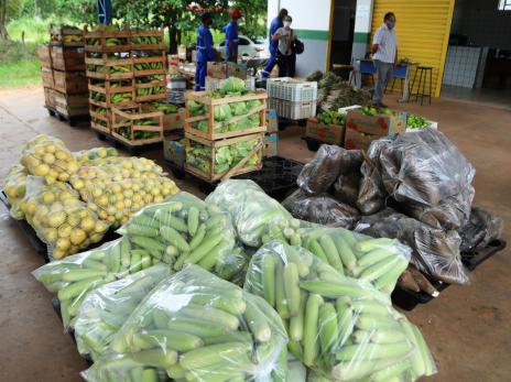 Educação abre chamada pública para compra de alimentos de pequenos produtores da região
