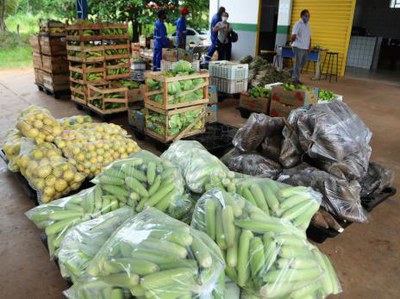 Educação abre chamada pública para compra de alimentos de pequenos produtores da região