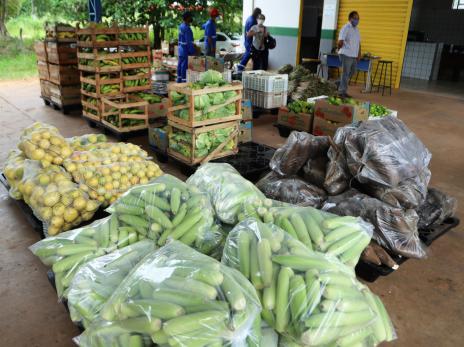 Famílias de Araguaína recebem cestas verdes com frutas e verduras