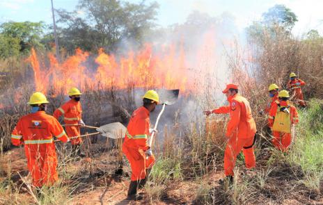 Após treinamento, brigadistas começam a atuar no controle de incêndios em Araguaína