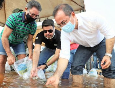 Recuperação do Lago Azul de Araguaína supera 40 mil peixes soltos