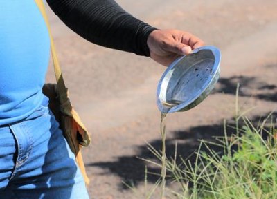 Araguaína terá força-tarefa contra a dengue a partir desta segunda-feira, 7