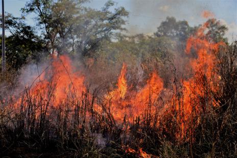 Meio Ambiente reforça ações preventivas e de fiscalização de queimadas em Araguaína