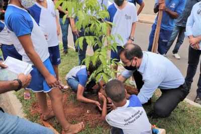Plano de arborização urbana de Araguaína é iniciado no Jardim Vitória