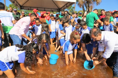 Mais de 150 crianças participam do Dia D da Turminha do Lago