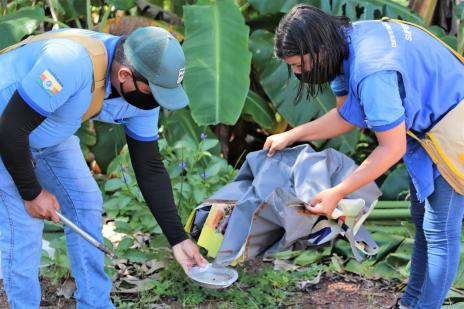 Prefeitura de Araguaína intensifica ações de combate ao mosquito Aedes Aegypti