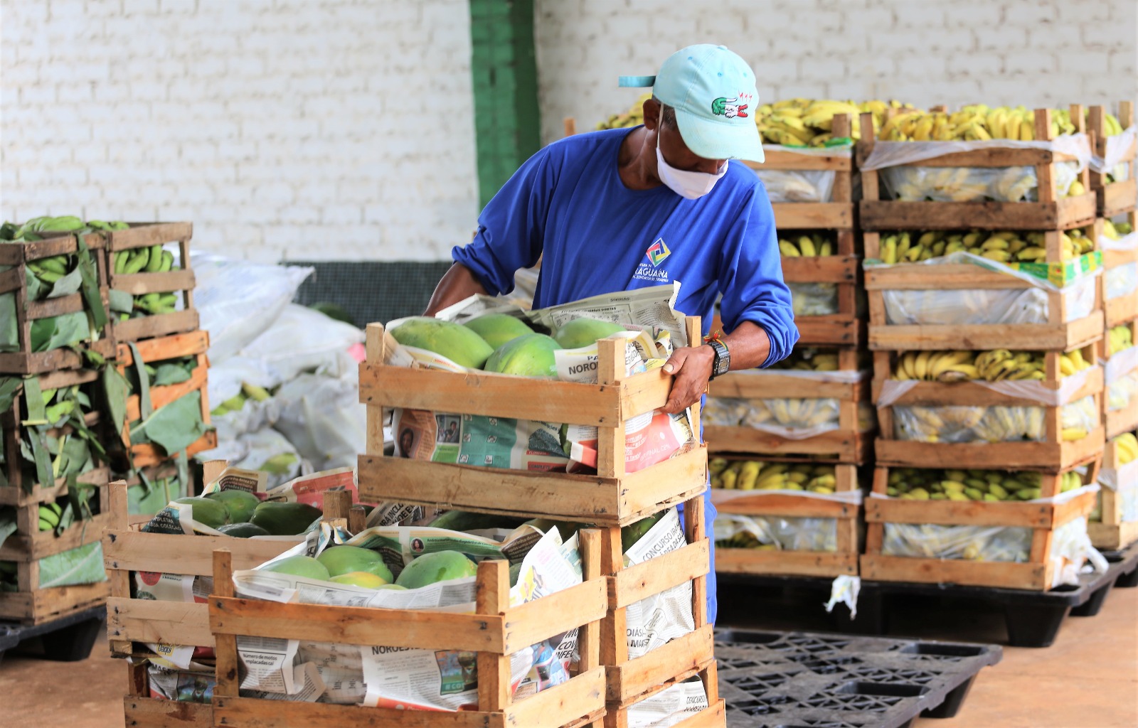 Prefeitura de Araguaína abre chamada para compra da produção de agricultores familiares