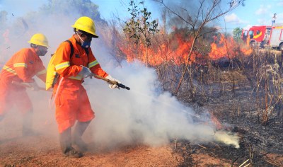 Prefeitura de Araguaína abre vagas para contratação de brigadistas