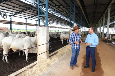 Boas práticas: Pecuarista de Araguaína reduz despesas com fertilizantes utilizando esterco de bois em confinamento