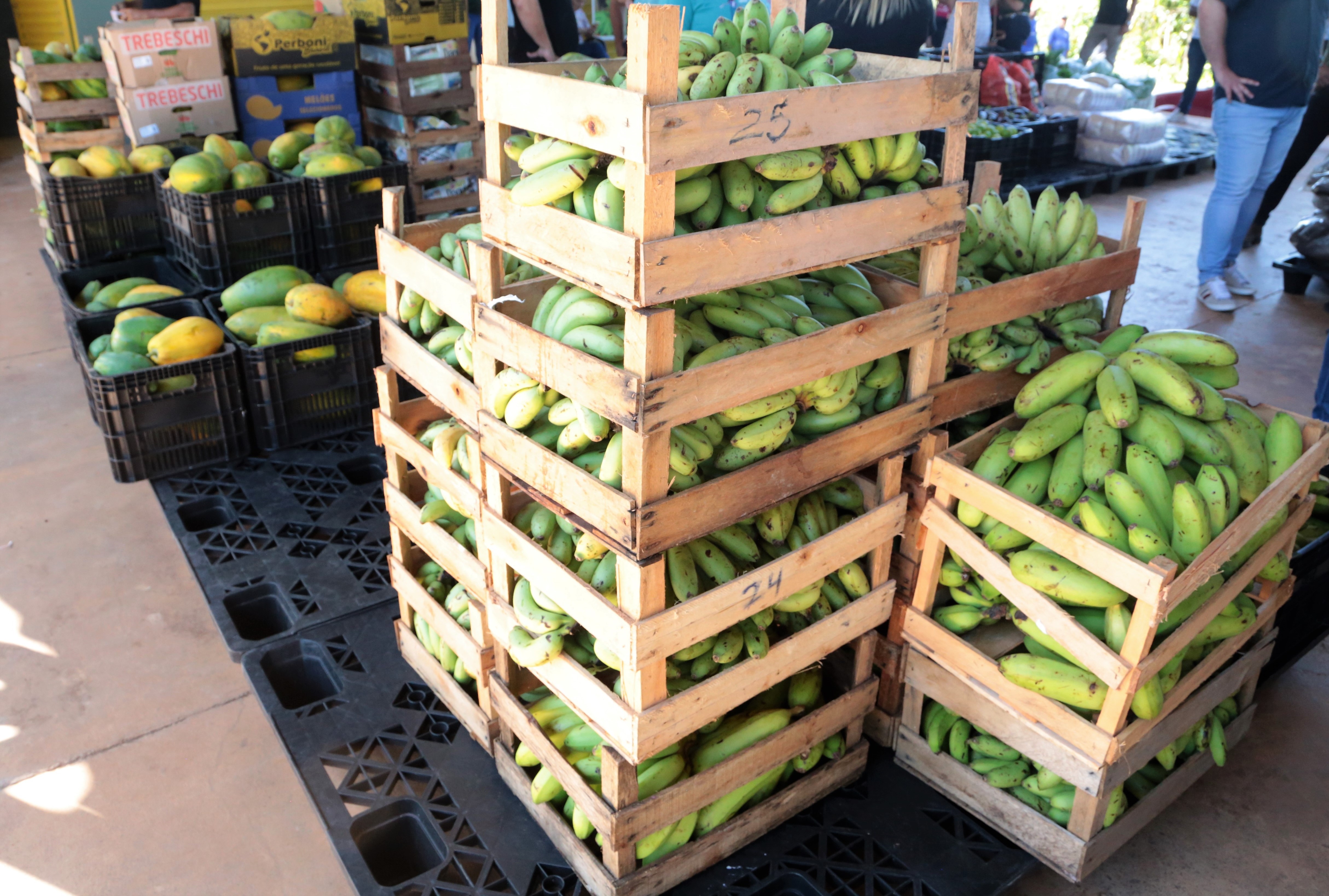 A Prefeitura de Araguaína investirá R$ 210 mil do Tesouro Municipal no programa e comprará até R$ 15 mil em produtos por agricultor