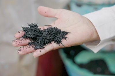 Inovação Sustentável: Reciclarte cria protótipos ecológicos de materiais para construção civil e de isolação térmica