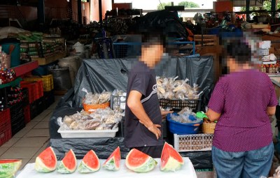 Prefeitura de Araguaína abre inscrições para seminário com o tema “O Trabalho Infantil que ninguém vê”