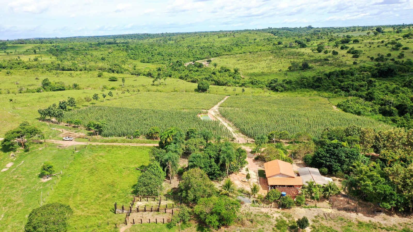 O atendimento aos agricultores familiares para inscrição no Floresta+ Amazônia será realizado nos dias 24, 25 e 26 de novembro, das 9h às 17h, no Sebrae Araguaína.