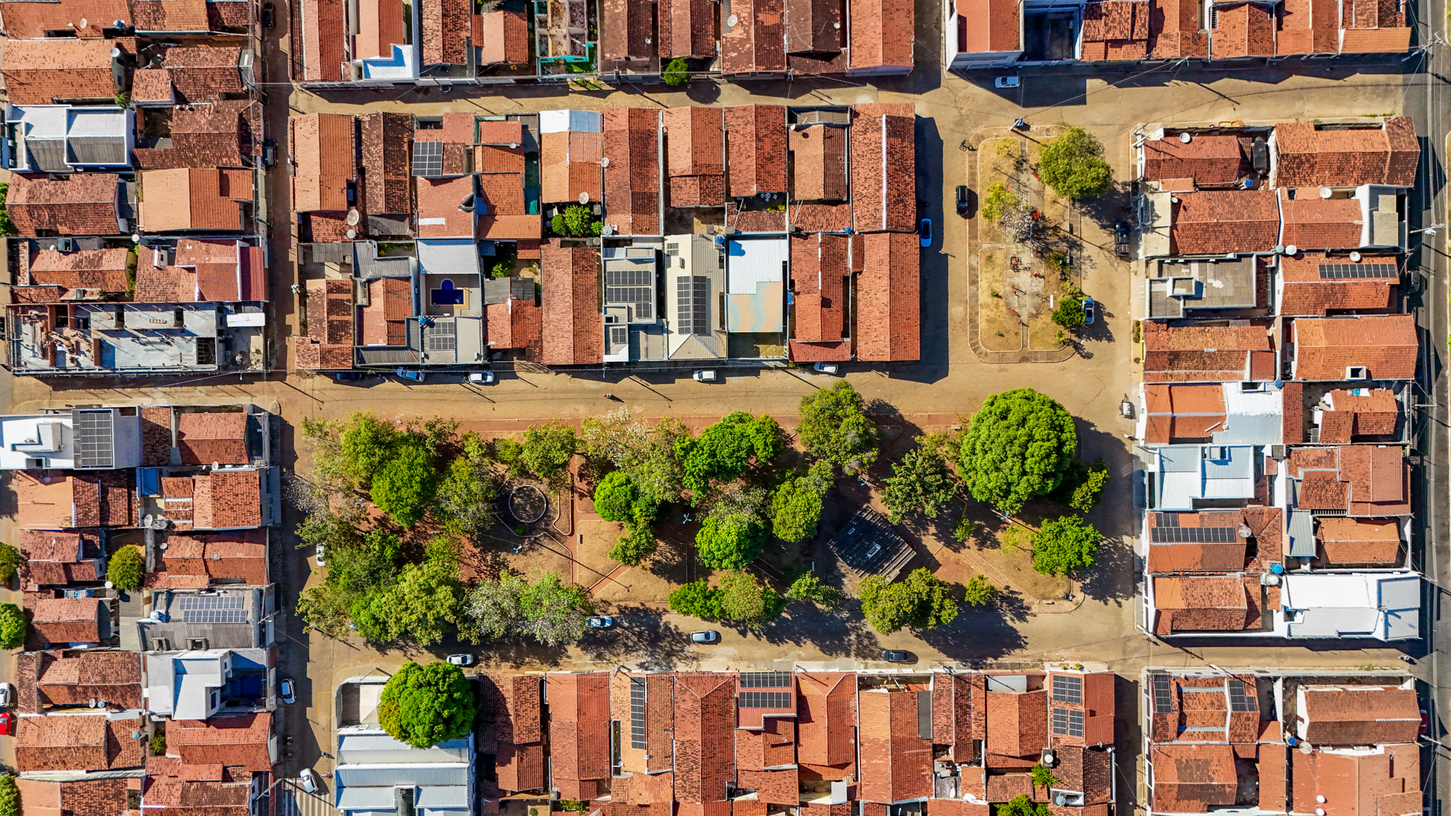 As árvores também receberão podas de adequação para garantir a boa interação da espécie com as áreas urbanas e dar mais segurança para visitantes e casas vizinhas.