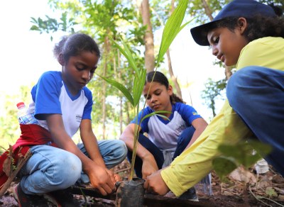Corrente do Bem une estudantes de escola municipal em ação de reflorestamento para proteger nascente