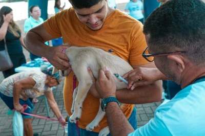 Pet Day na Via Lago imuniza 110 animais contra a raiva
