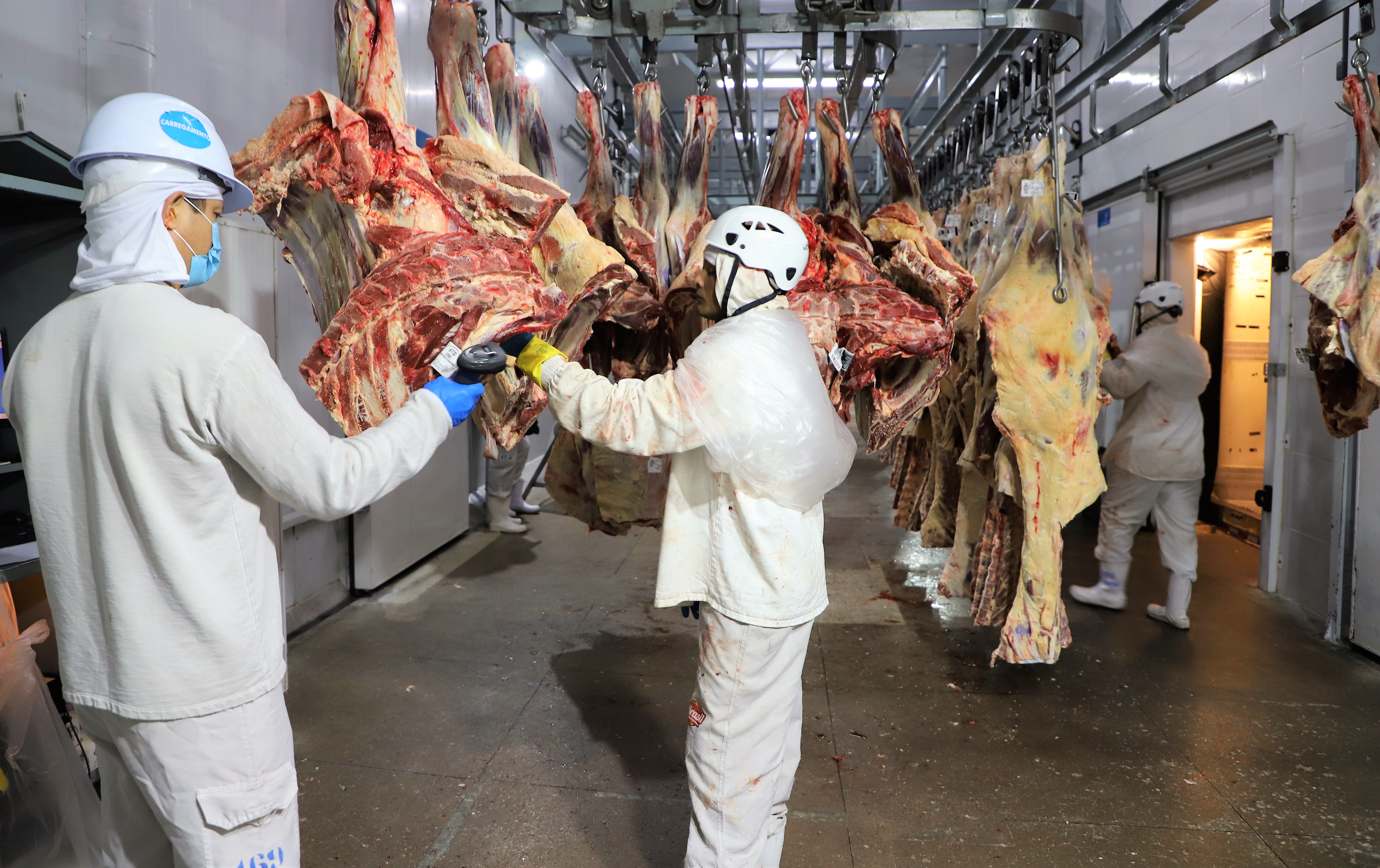 Os Auxiliares de Inspeção Sanitária atuarão nos frigoríficos de Araguaína, conforme Acordo de Cooperação Técnica celebrado entre o Município e o Ministério da Agricultura e Pecuária (MAPA)