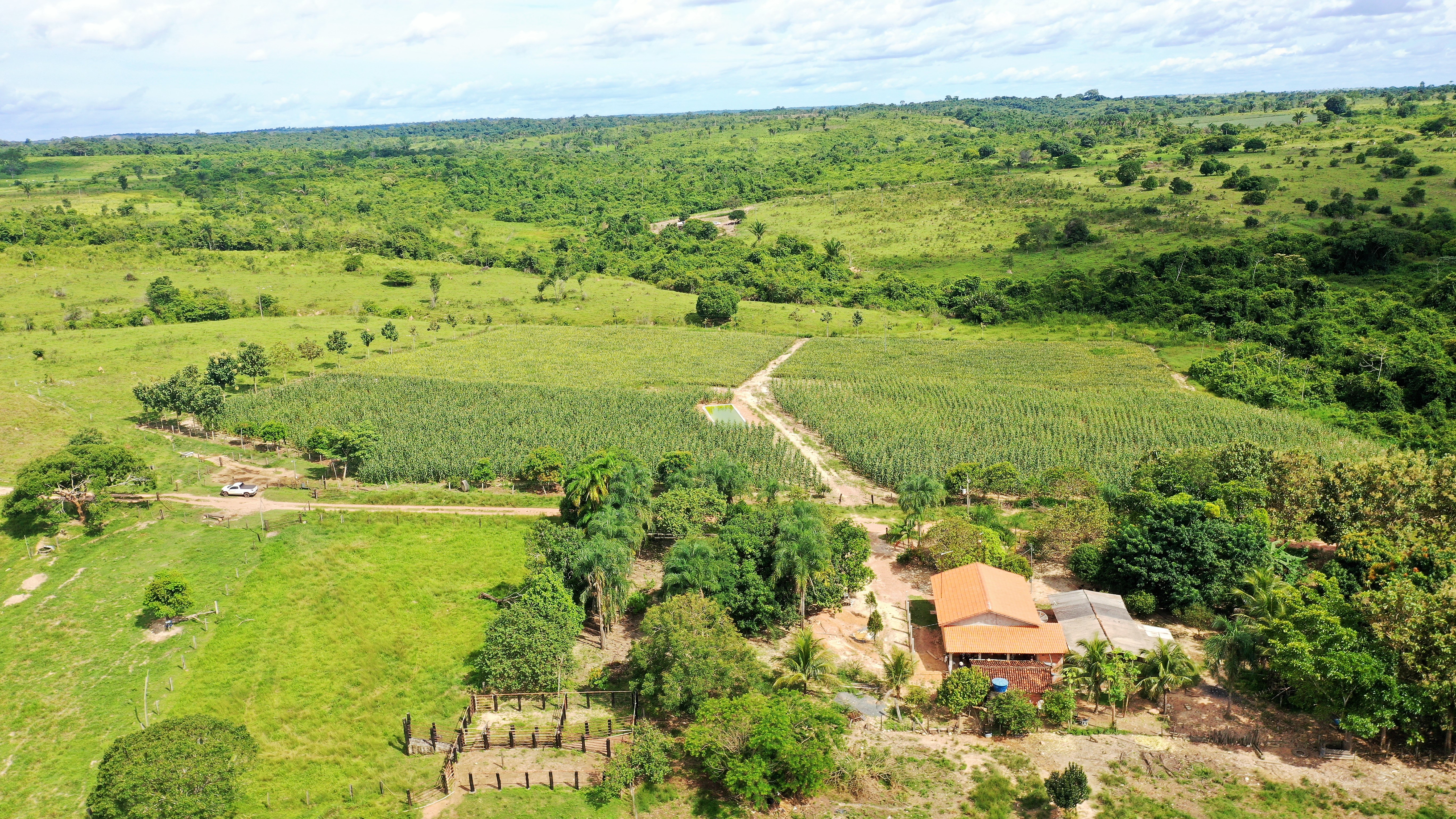 O projeto também aborda a importância do uso de Equipamentos de Proteção Individual (EPIs) no manuseio de defensivos agrícolas, reforçando a segurança do trabalhador do campo