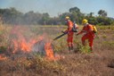 Brigadistas contratados pelo Município reforçam combate a incêndios durante período de estiagem