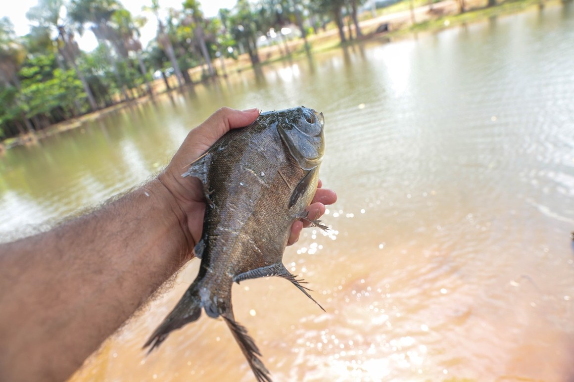 Laguinho da Via Lago recebe mais peixes para disputa infantil do 1º Torneio de Pesca Esportiva Lago Vivo
