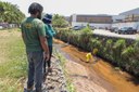 Prefeitura de Araguaína inicia operação para conter tilápias invasoras no Córrego Neblina e evitar dano ambiental à fauna do Lago Azul